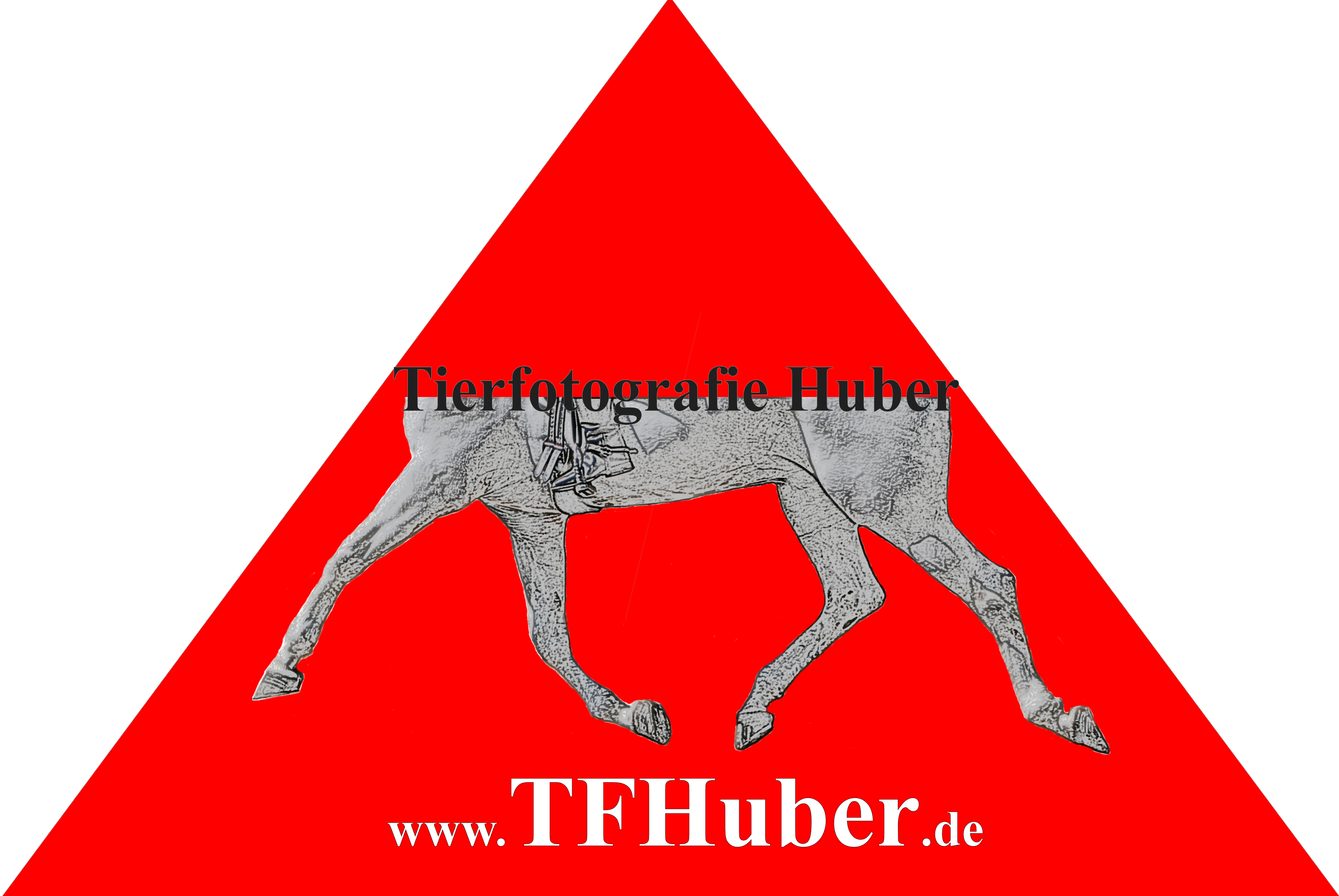Logo dreieck.tfhuberweiß.jpg